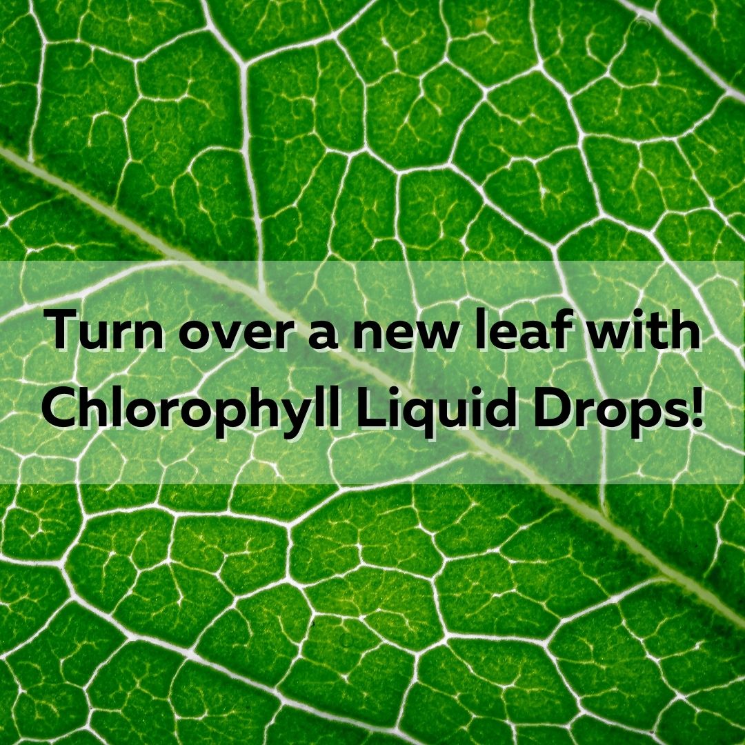Chlorophyll Liquid Drops: A Powerful Health Supplement