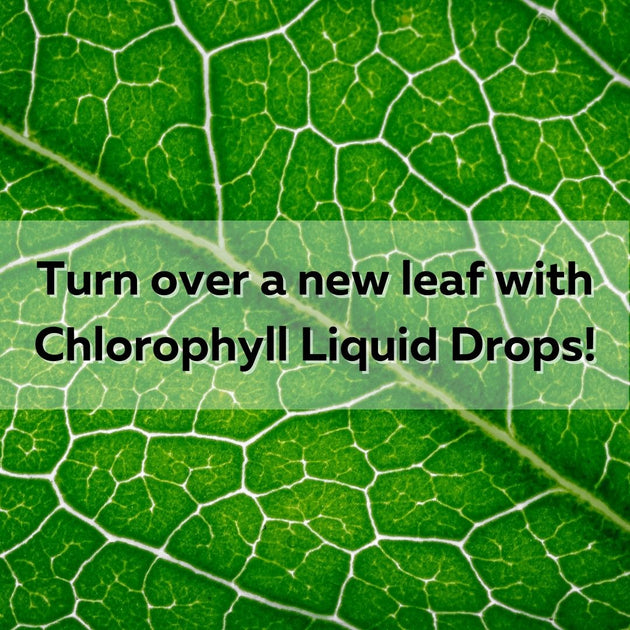 Chlorophyll Liquid Drops Benefits, Uses, and How to Incorporate Them