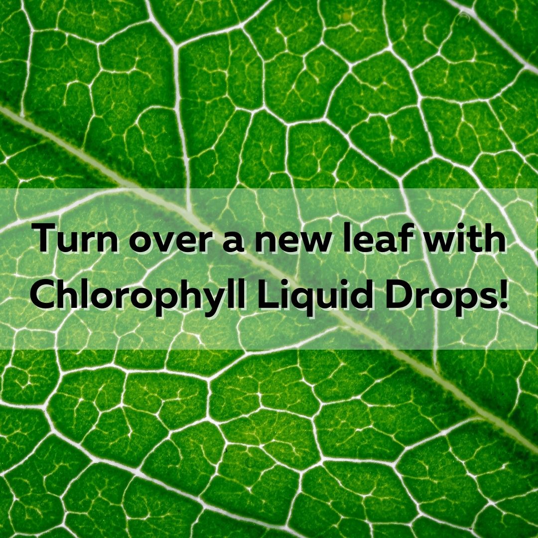 Chlorophyll Liquid Drops: A Powerful Health Supplement