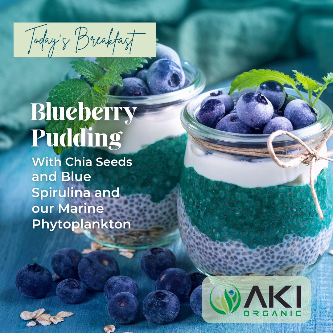 Health Benefits of Chia Pudding with Blue Spirulina and Phytoplankton Powder