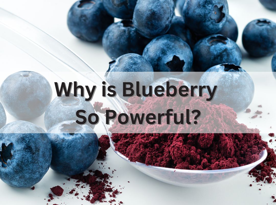 Why is Blueberry So Powerful?