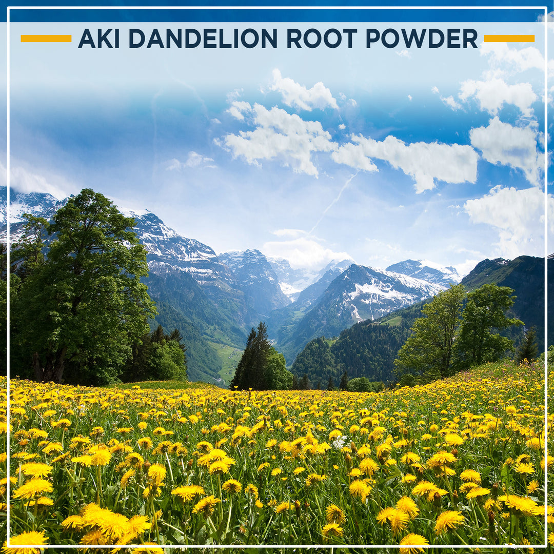 Dandelio Roots Powder Dandelion Root Powder (5.30 oz / 150 gr) - Ideal in Vitamins & Antioxi ...