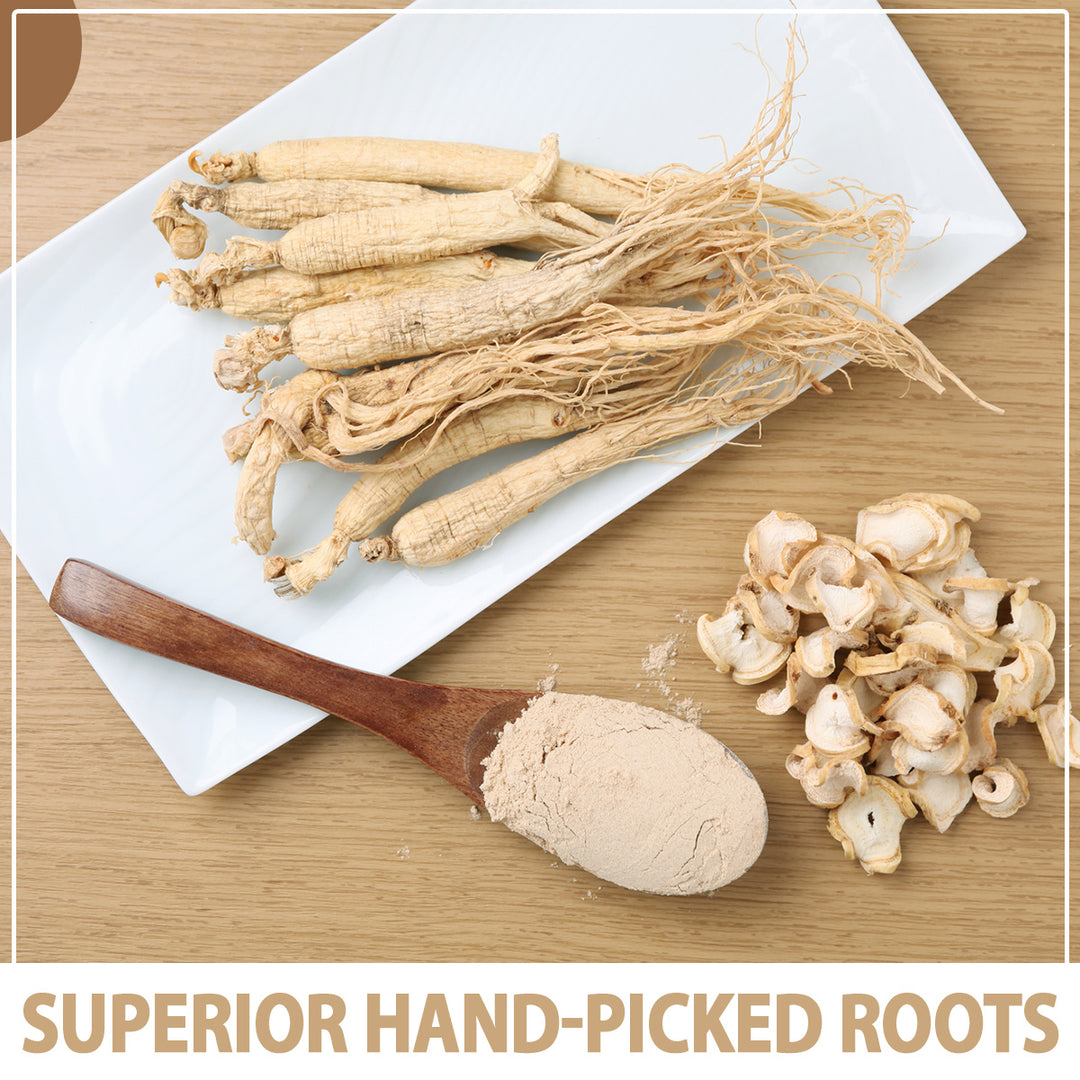 American Ginseng Root Powder American Ginseng Root Powder