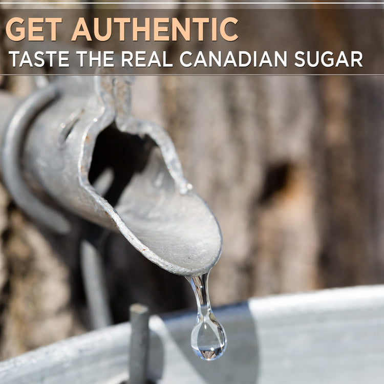 Canadian Natural Maple Sugar Granulated (2 Oz/ 57 g) NEW RELEASE